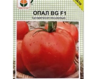 домати Опал F1