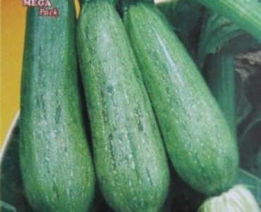 тиквички Грейзини F1