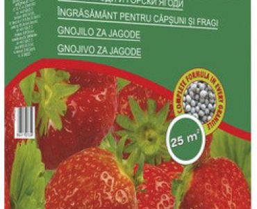 Биопон тор за ягоди