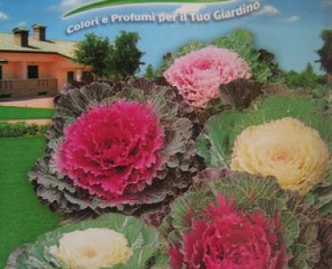 Декоративно зеле