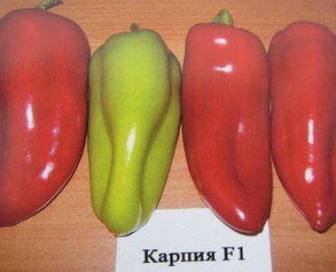 пипер Карпия F1