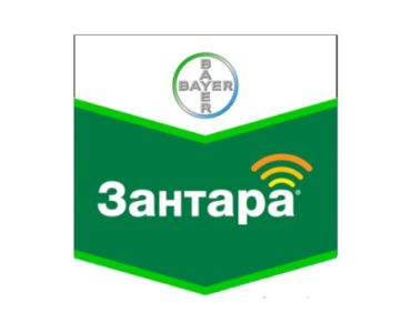 ЗАНТАРА 216 ЕК