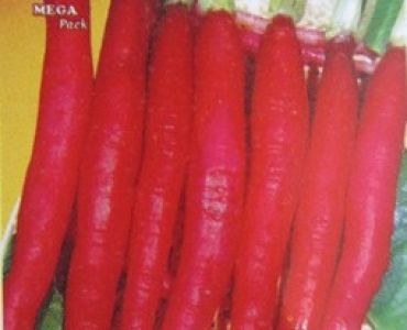 репички Червени дълги