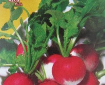 репички ЧБО