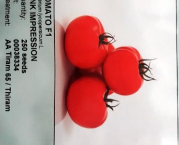 домати Пинк Импрешън (Pink Impression)