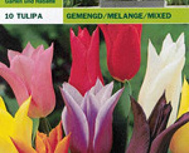 Лалета Lilyflowering микс 10 бр (пакет)