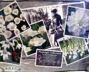 Цветен микс от пролетни цветя (61 луковици)