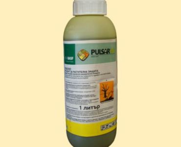 Пулсар/ Пасат 40