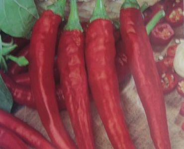 пипер Тайландски Дракон