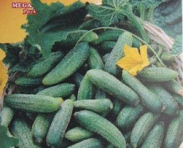 корнишони Парижки