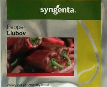 пипер Любов F1