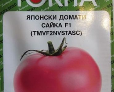домати Сайка F1