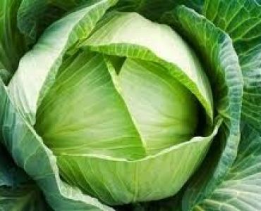 зеле Чармънт F1