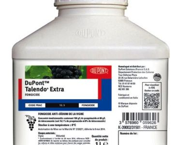 Талендо Eкстра 