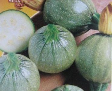 тиквички кръгли от Тоскана