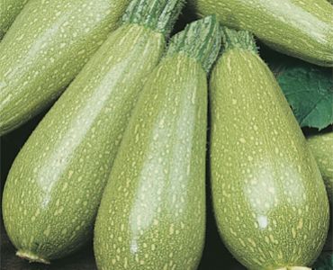 тиквички Болонезе`SG