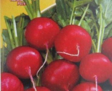 репички Червени едри