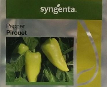 пипер Пирует F1