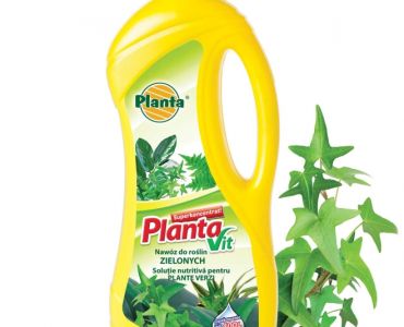 Течна тор за зелени растения Planta