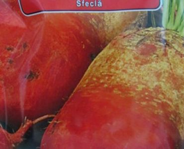 Кръмно цвекло Жълт Екендорф