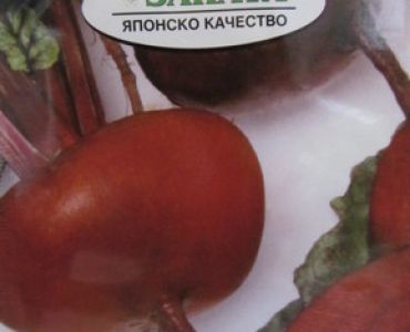 салатно цвекло Кестрел F1