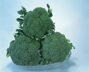 Броколи Сакура F1