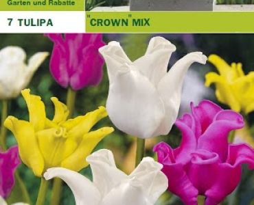 Лалета ''Crown mix'' (1 оп-7 луковици)