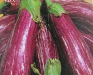 патладжан Тсаконики