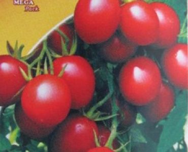 домати Балконски червени
