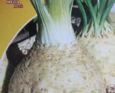 целина Глави