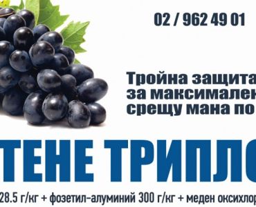 Витене Трипло Р