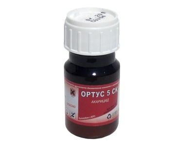 Ортус 5 СК - ЗАБРАНЕН ПРЗ