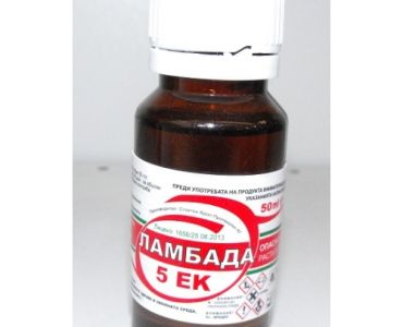 Ламбада 5 ЕК - ЗАБРАНЕН ПРЗ