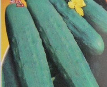 краставици Маркетмор