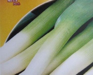 праз Карентан