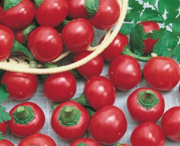 пипер Малки камбички`SG