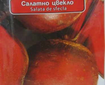 Салатно цвекло