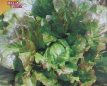 салата Maravilla de Verano Canasta