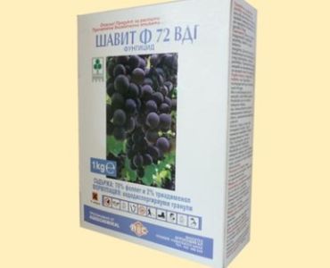 Шавит Ф 72 ВДГ - ЗАБРАНЕН ПРЗ