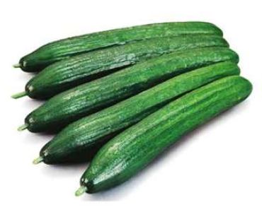 краставици Стратегос F1