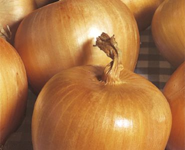 лук Рамата ди Милано`SG