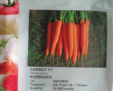 моркови Кориган F1