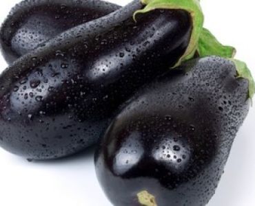 патладжан Класик F1