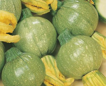 тиквички Nizza`SG