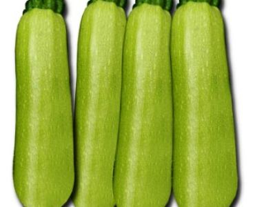 тиквички Корделия F1