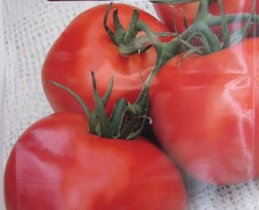 домати Трапезица