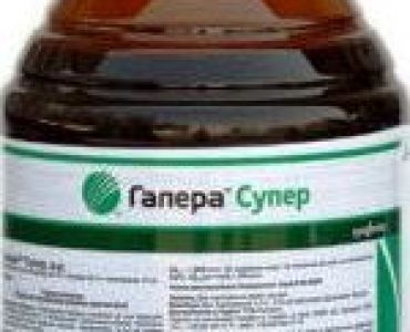 Галера Супер - ЗАБРАНЕНО ПРЗ