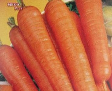 моркови Нантски