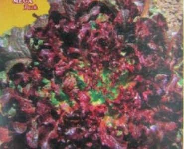 салата Red Salad Bowl