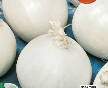 лук Blanco Duro`SG